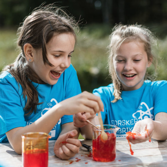 Forskerfabrikkens sommerskole