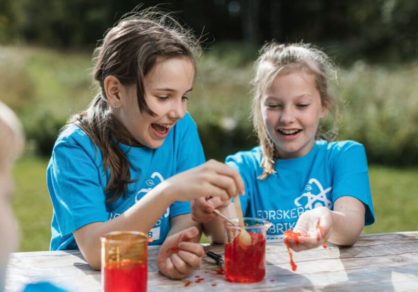 Forskerfabrikkens sommerskole